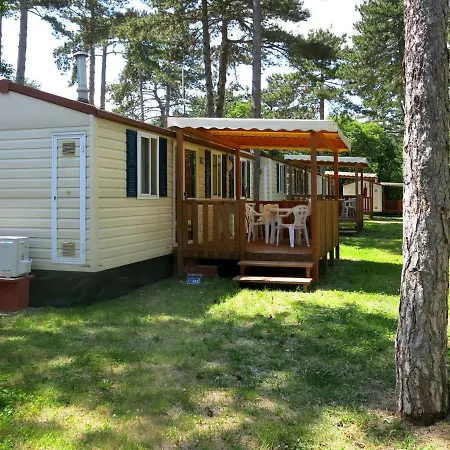 بيت للعطل Locazione Turistica Camping Village Mare Pineta سيستيانا